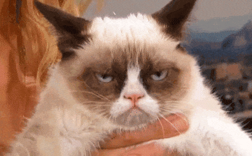 A constantly annoyed balletteacher does not inspire.